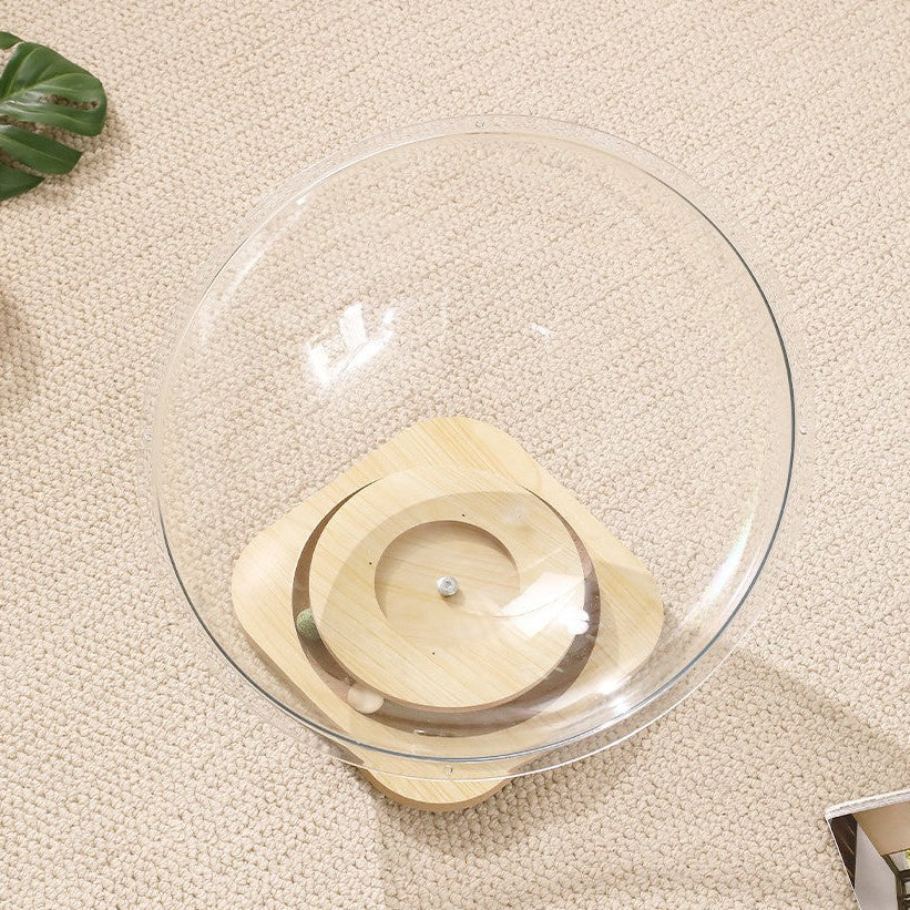 Clear glass Space Capsule Cat Bed on a beige surface with a plant leaf in the corner