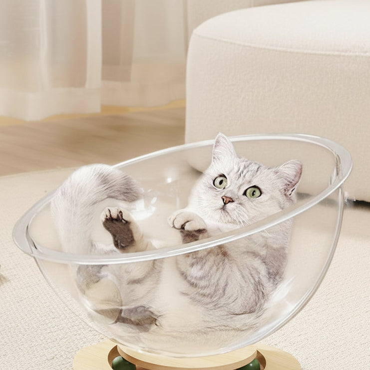 Clear cat bed with a cat inside on a beige carpet