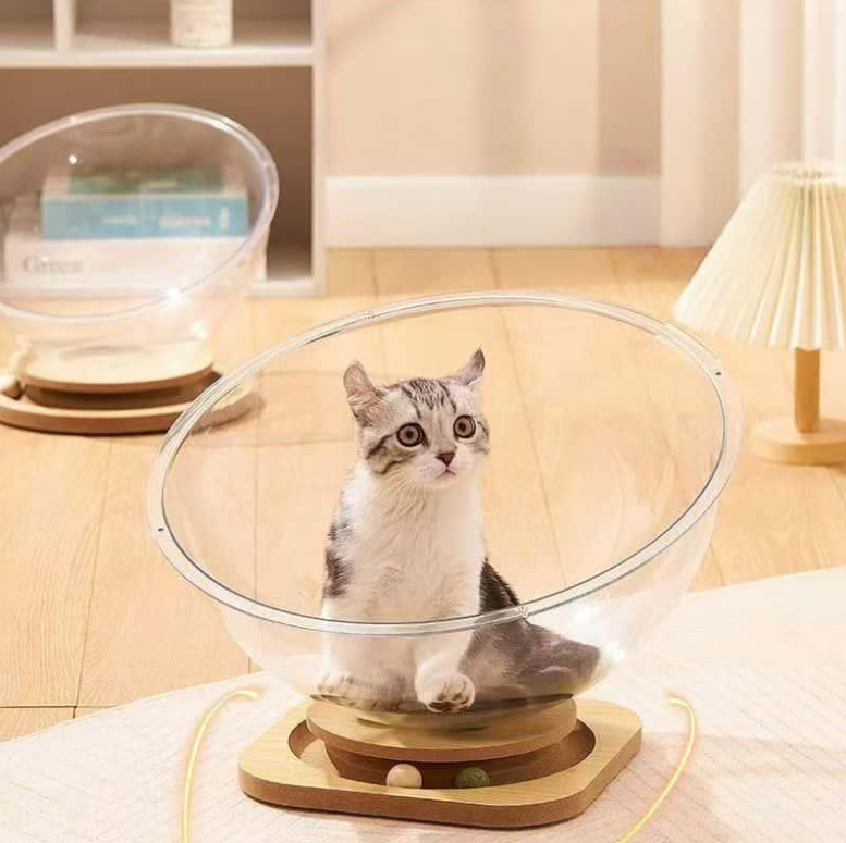 Space Capsule Cat Bed